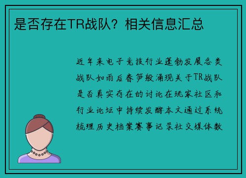 是否存在TR战队？相关信息汇总